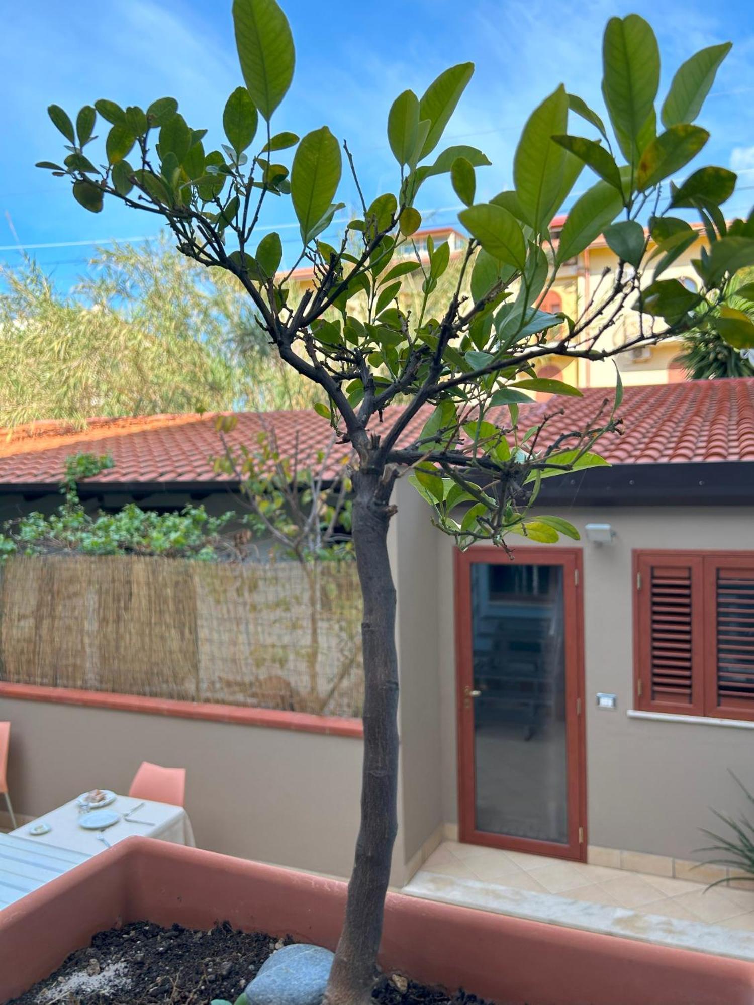 Bed and Breakfast La Piazzetta Giardini-Naxos Exterior foto